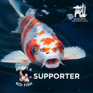 Adopt a koi supporter