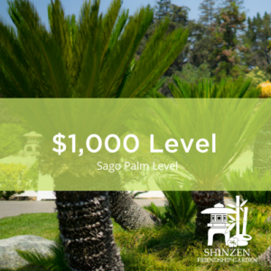 $1000 Sago Palm Level
