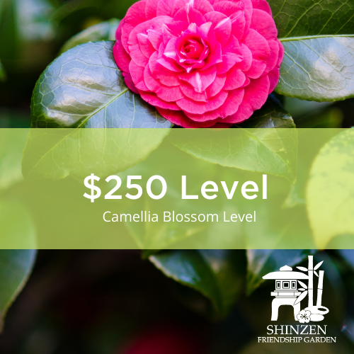 $250 Camellia Blossom Level Sponsorship
