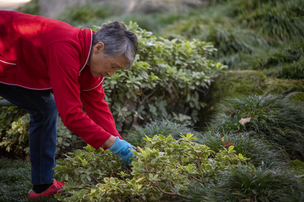 Shinzen Garden Volunteers