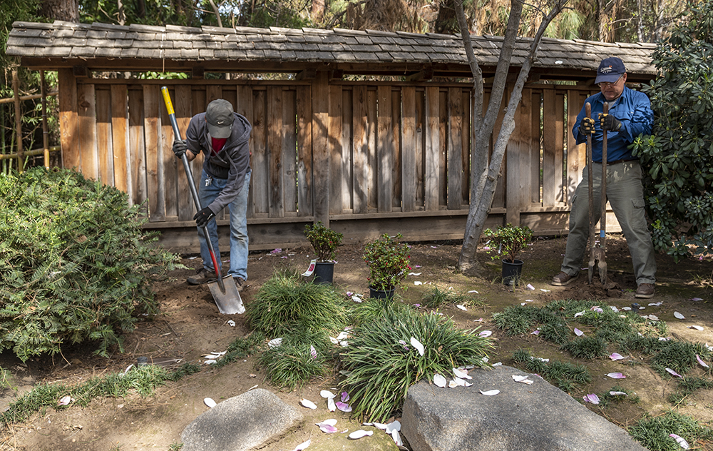 Two Volunteers Gardening