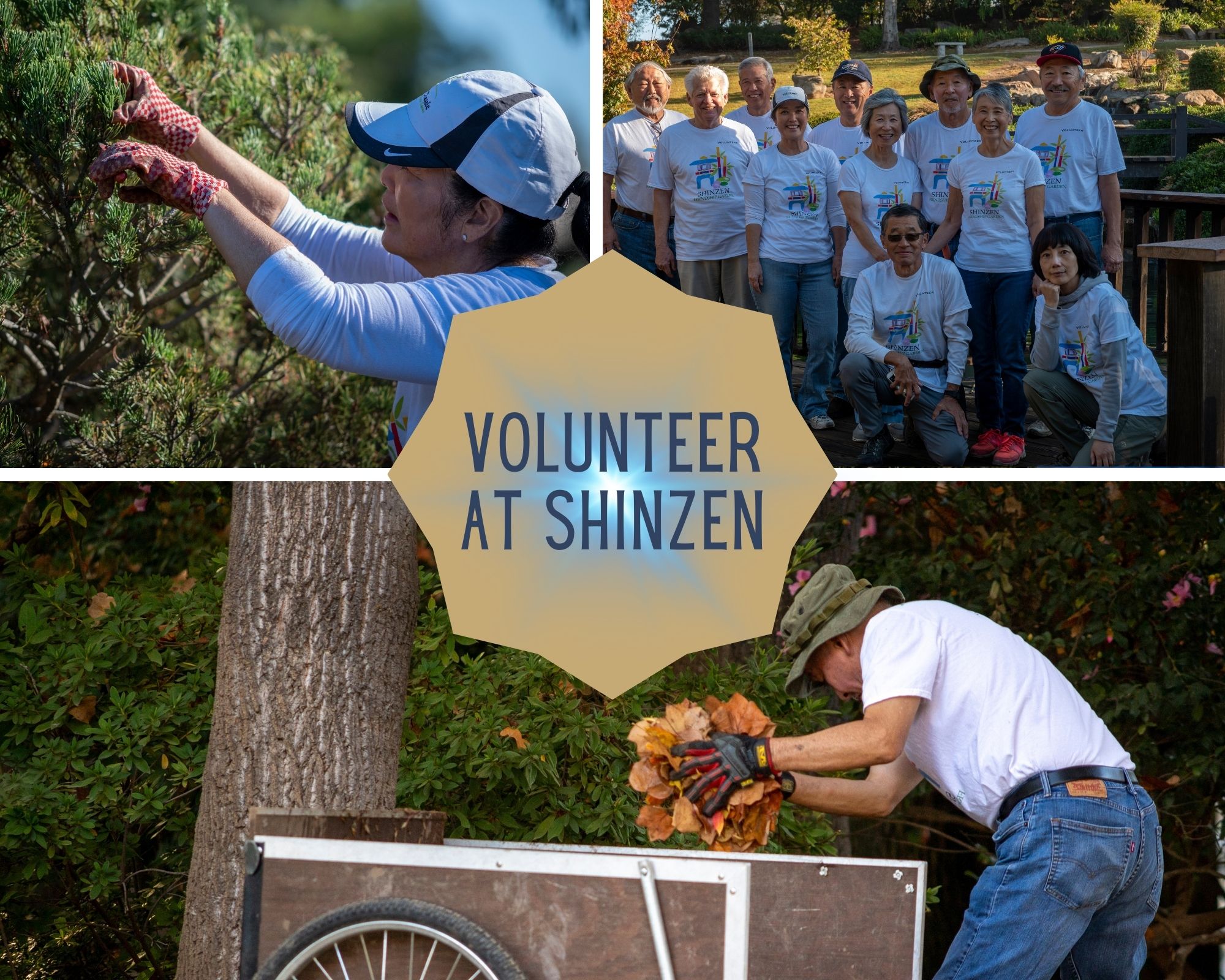 volunteer at shinzen photo array