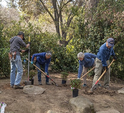 Shinzen Friendship Garden volunteers digging holes to plant new foliage