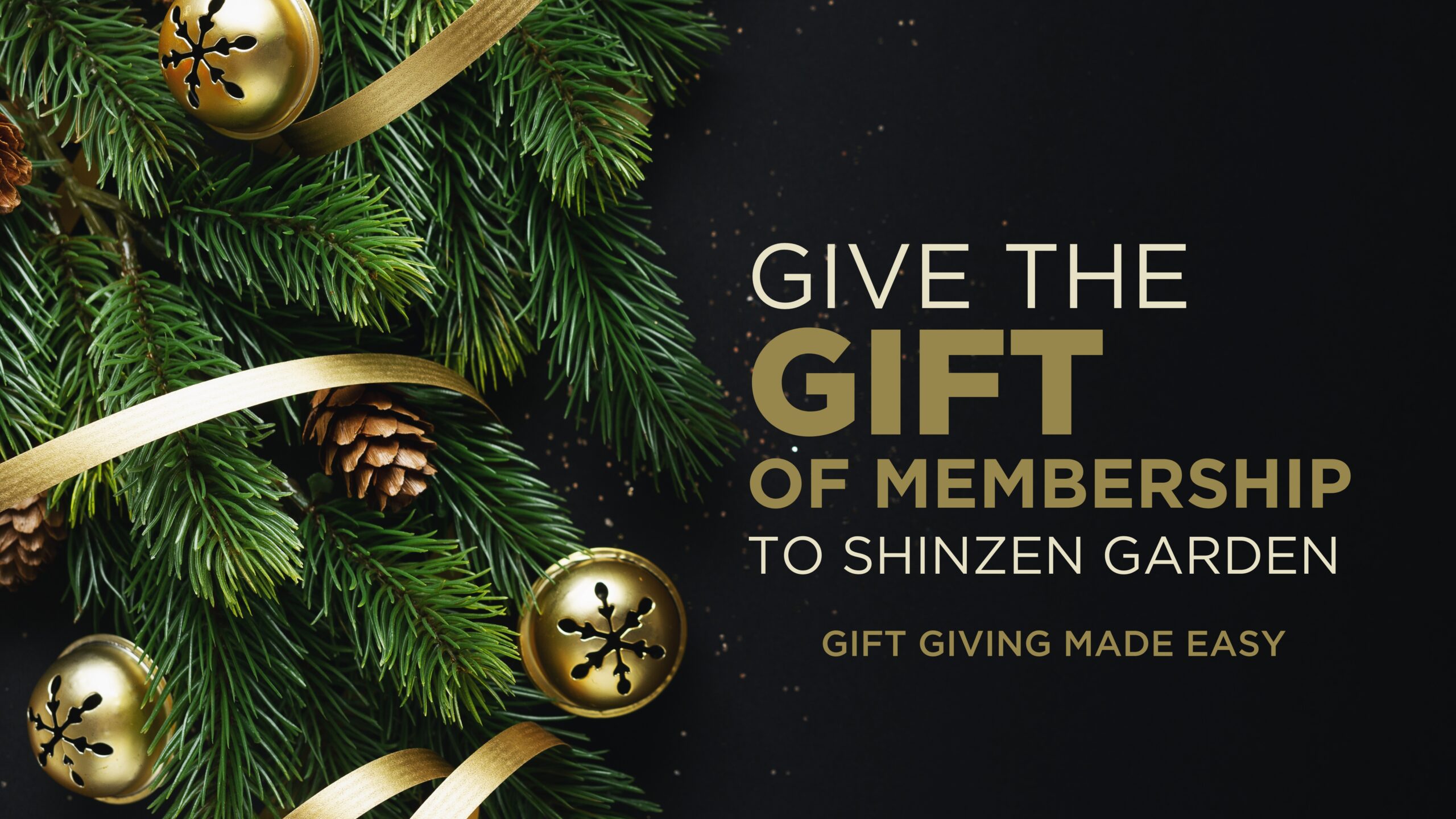 autumn color viewing at shinzen garden on sunday november 23