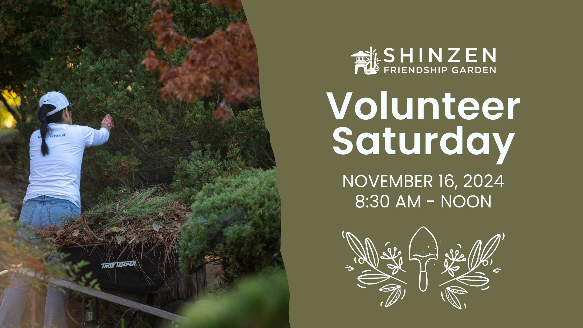 volunteer saturday november 16 2024