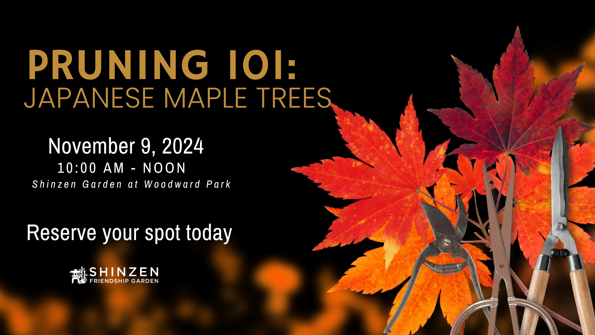 Pruning 101 Japanese maple tree pruning at shinzen garden