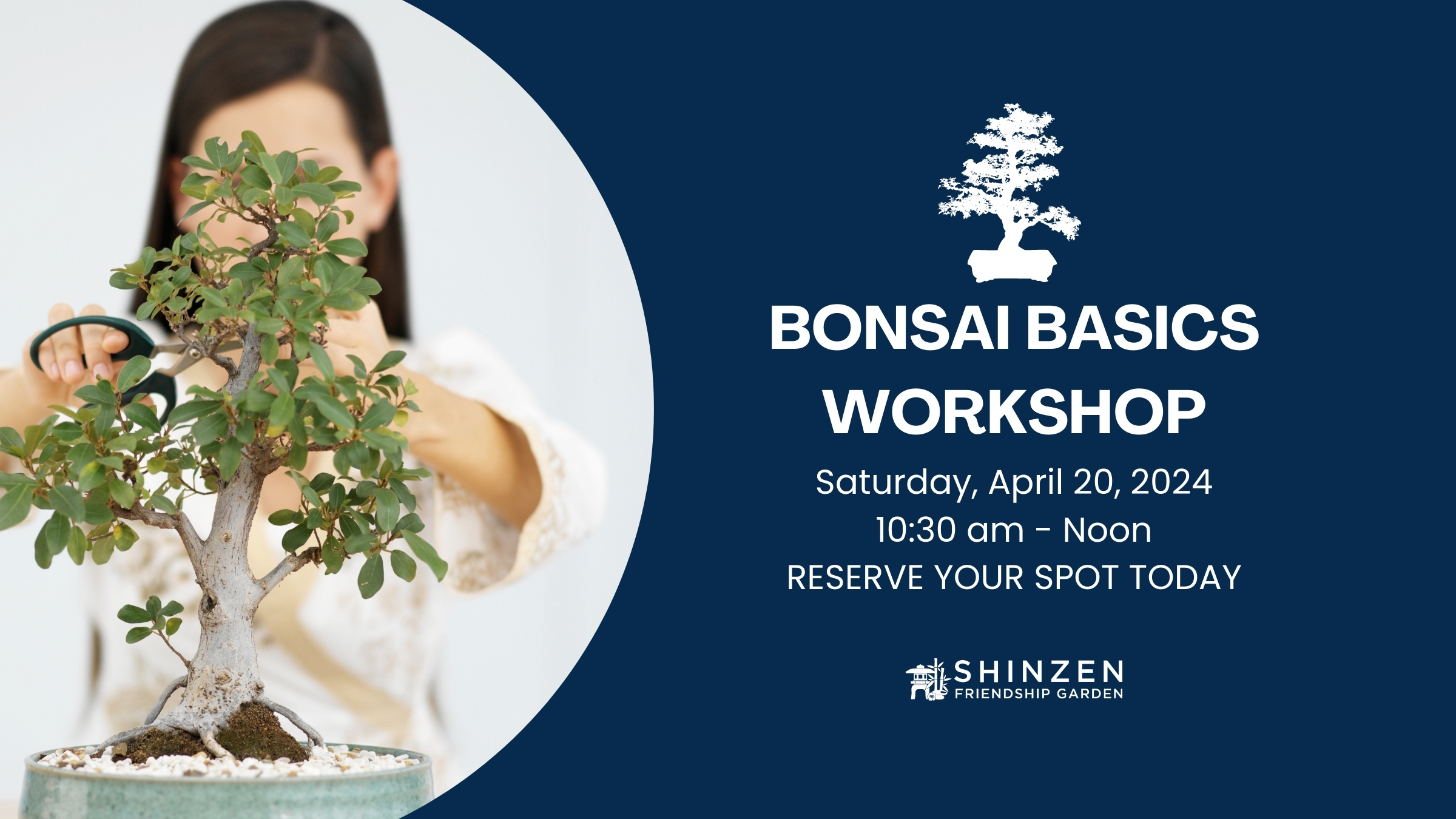 bonsai basic workshop at shinzen garden 