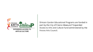 measure p expanded access to art