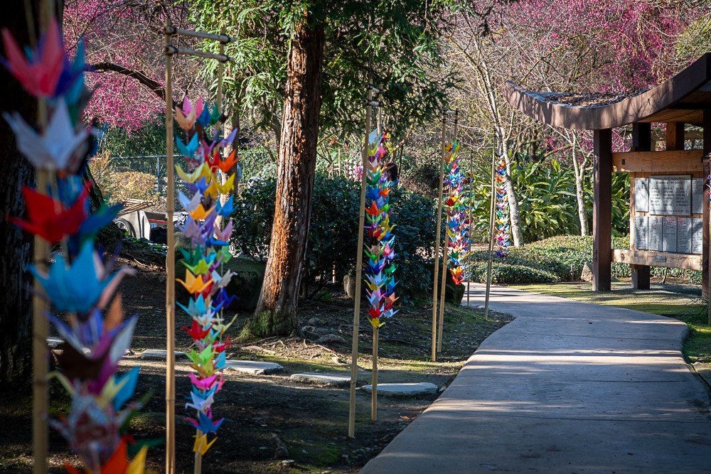 Shinzen Friendship Garden paper crane display