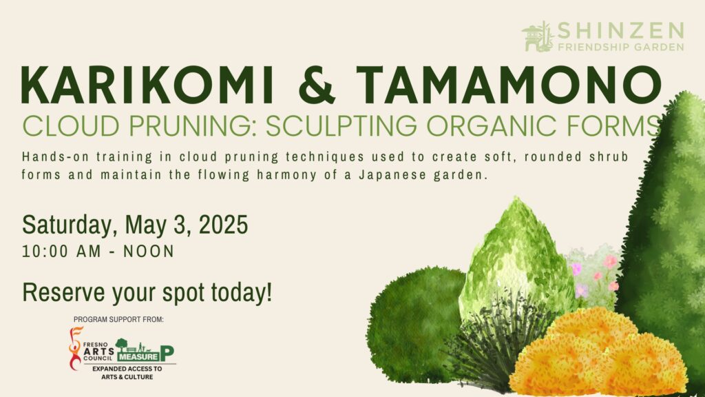karikomi tamamono cloud pruning class at shinzen garden