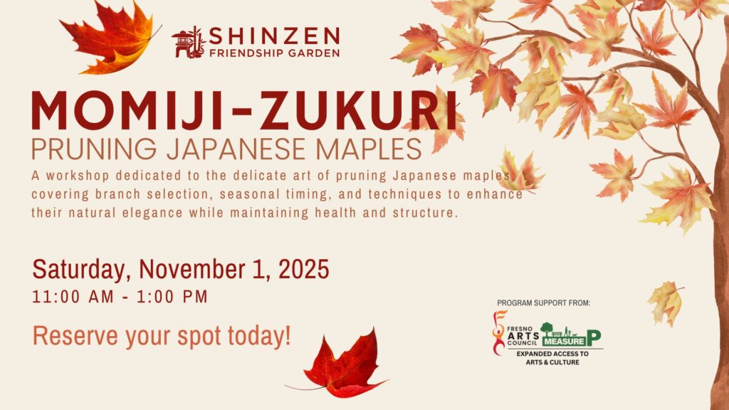 japanese maple pruning workshop at shinzen garden