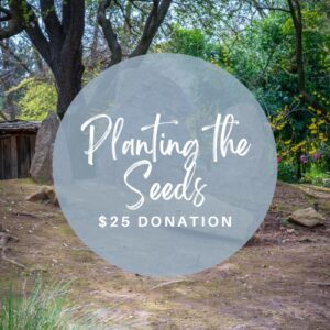 planting the seeds 25 donation to shinzen garden