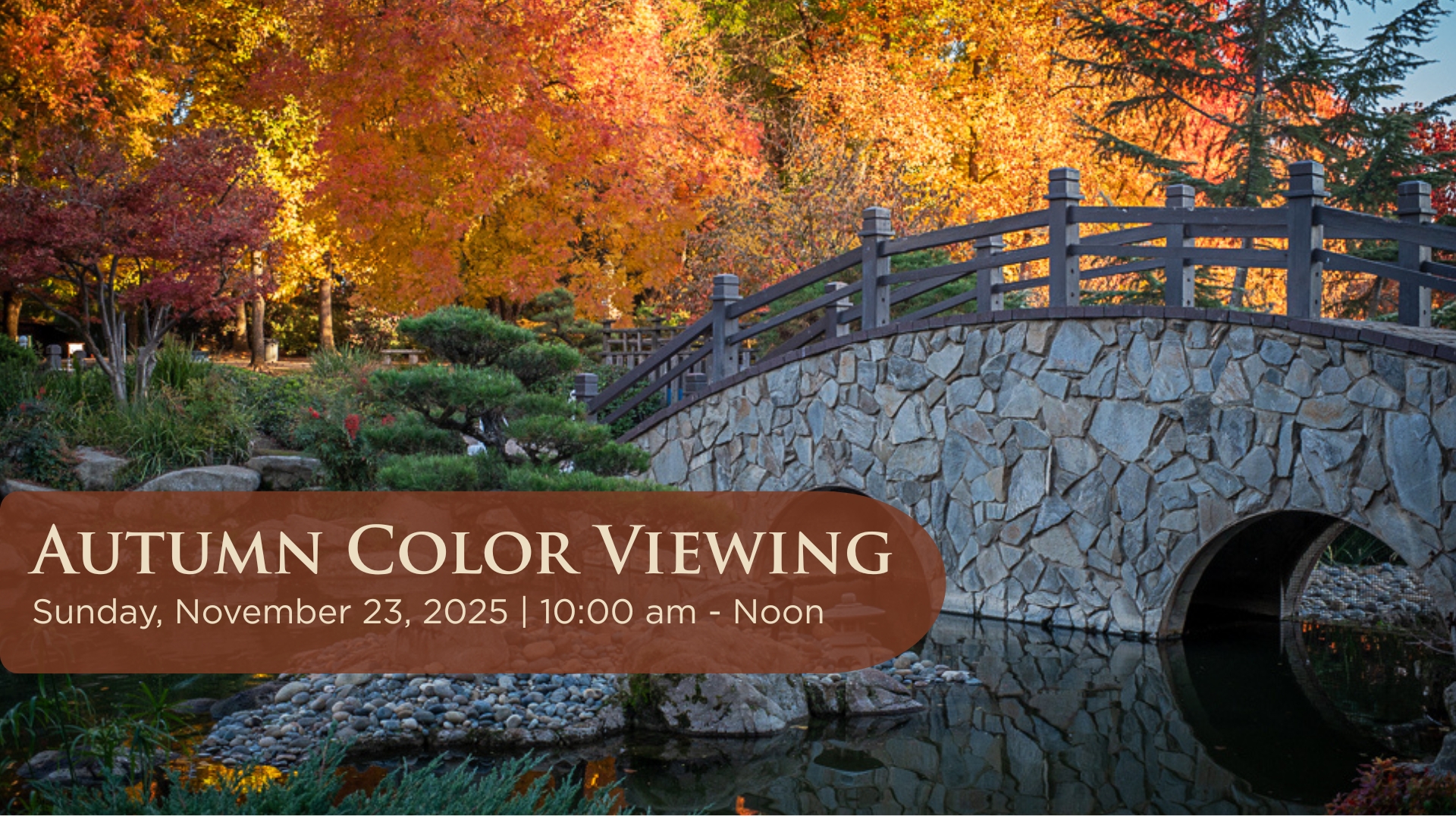 autumn color viewing at shinzen garden on sunday november 23