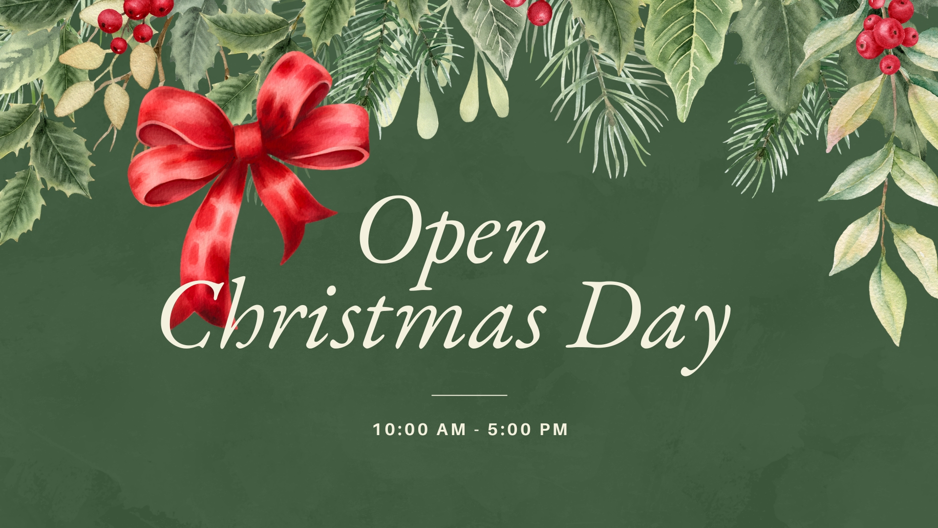 open christmas day from 10 am to 5 pm