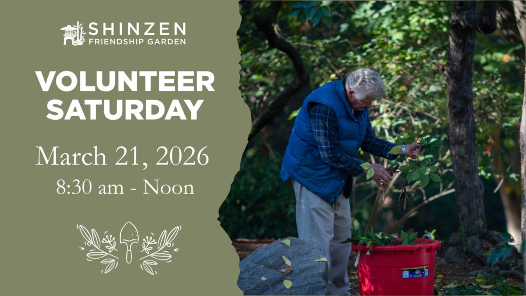 March 21 2026 volunteer saturday at shinzen garden