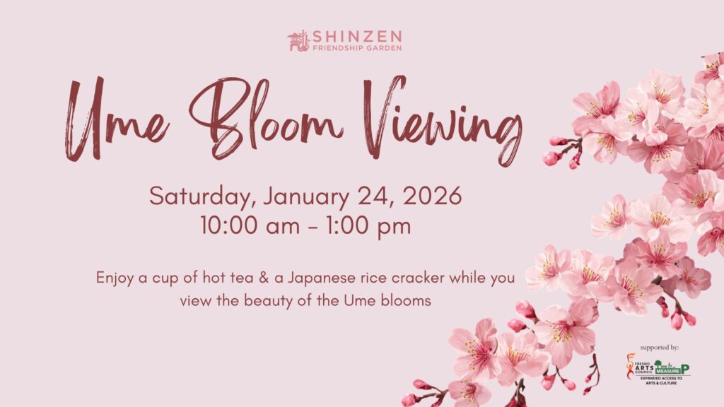 ume bloom viewing at shinzen garden january 24 2026