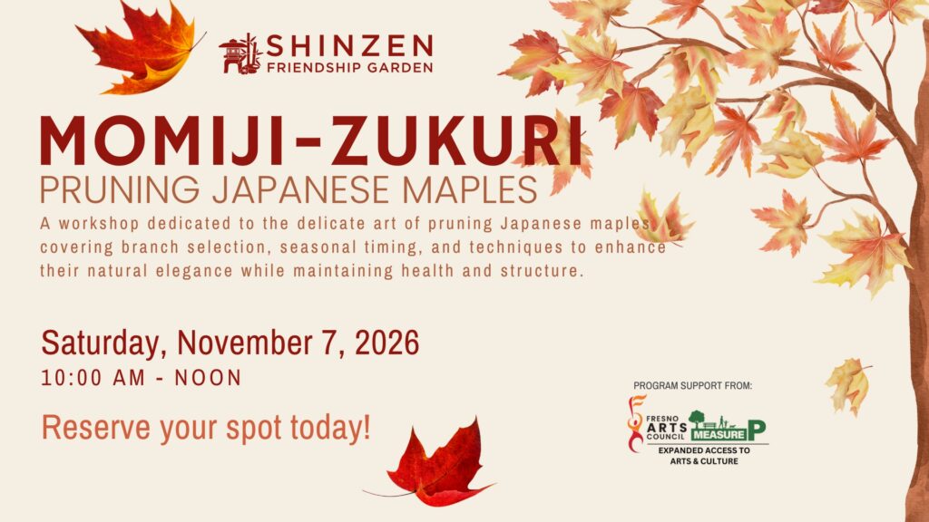 pruning japanese maples class on november 7 2026 at shinzen garden